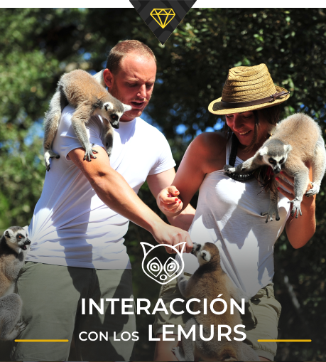Interacción con los Lémures