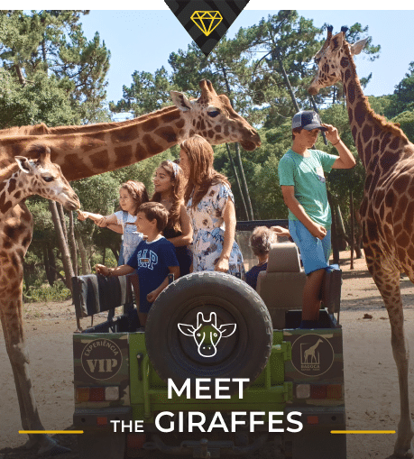 Badoca Safari Park
