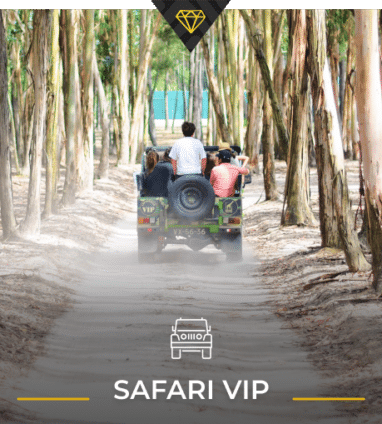 badoca safari park tickets