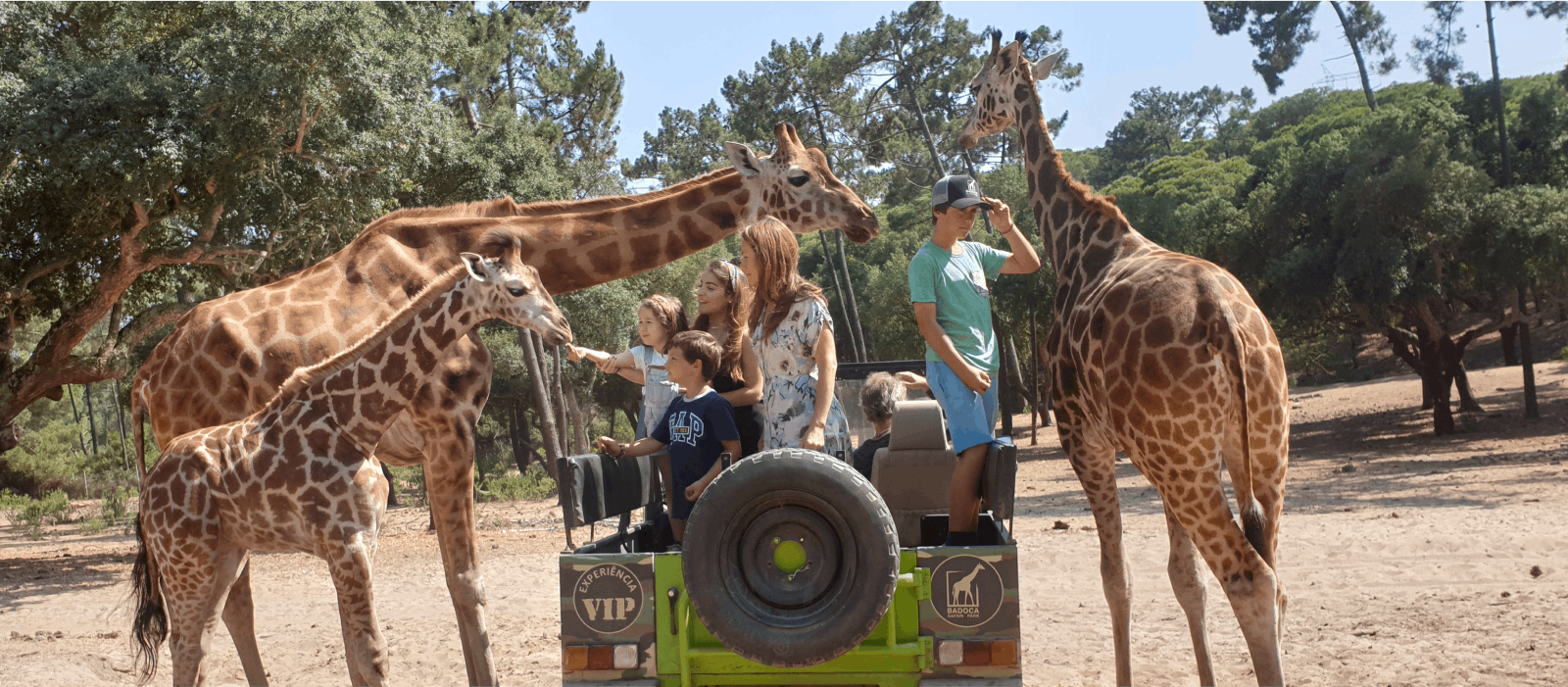 Badoca Safari Park