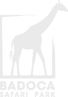 Badoca logo